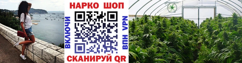 Лсд 25 Змеиногорск