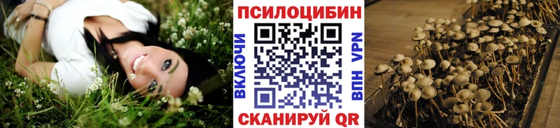 Купить где  Змеиногорск  Псилоцибиновые грибы прущие грибы 